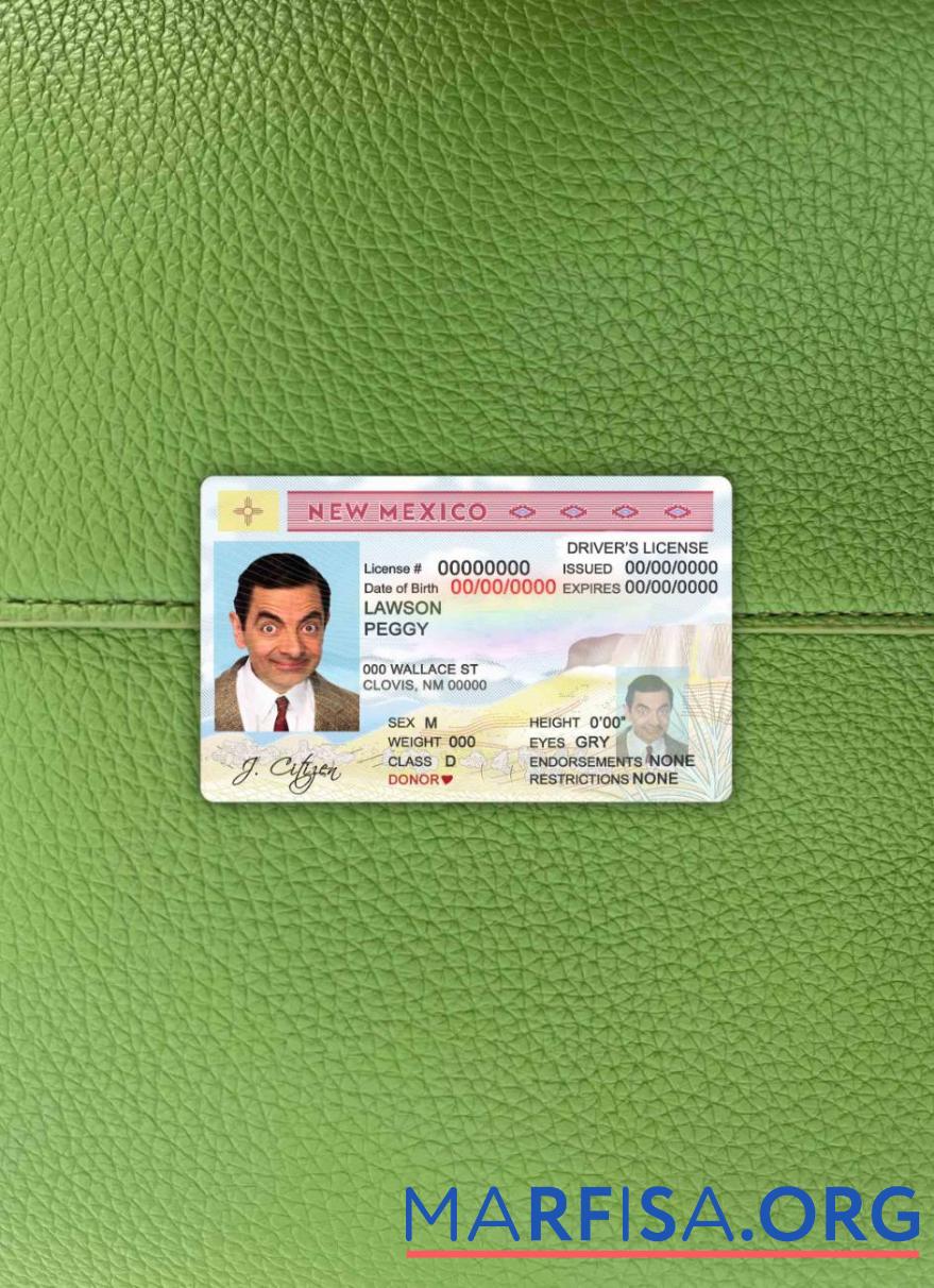 Downloadable USA State New Mexico DL photolook template